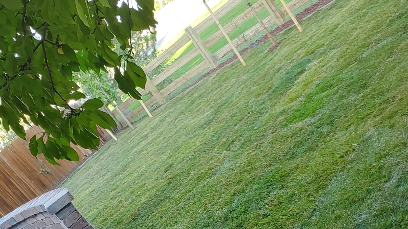 Healthy, freshly cut green lawn with paver edging and a fence line