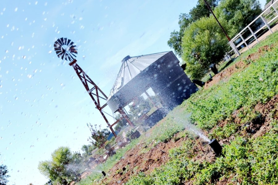 Sprinkler system running across a green field