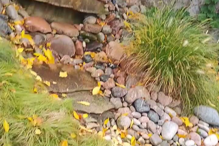 Rock bed with flagstone steps and ornamental grasses