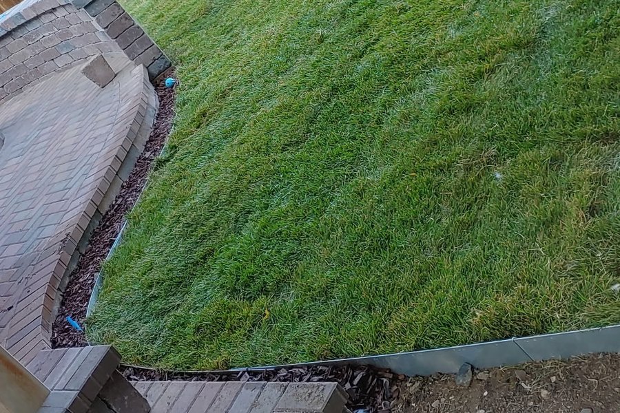 Green lawn meeting brick pavers with steel landscape edging and a mulch bed